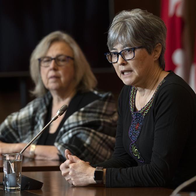 Advocates, MPs call on feds to expand access to psychedelic treatment